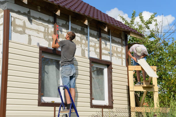 Best Stone Veneer Siding  in Carrollton, IL