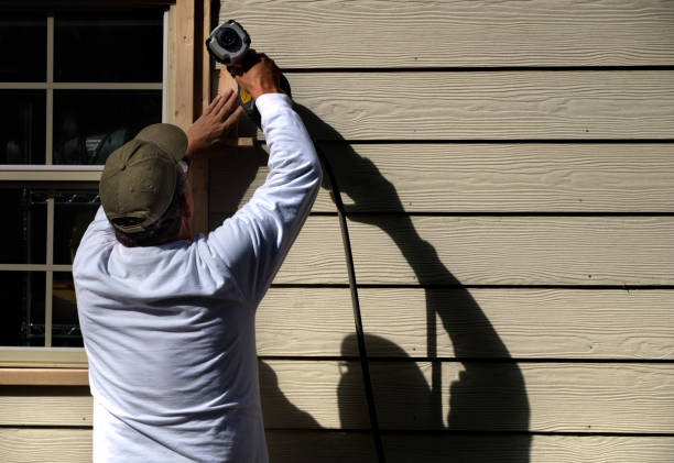Best Historical Building Siding Restoration  in Carrollton, IL
